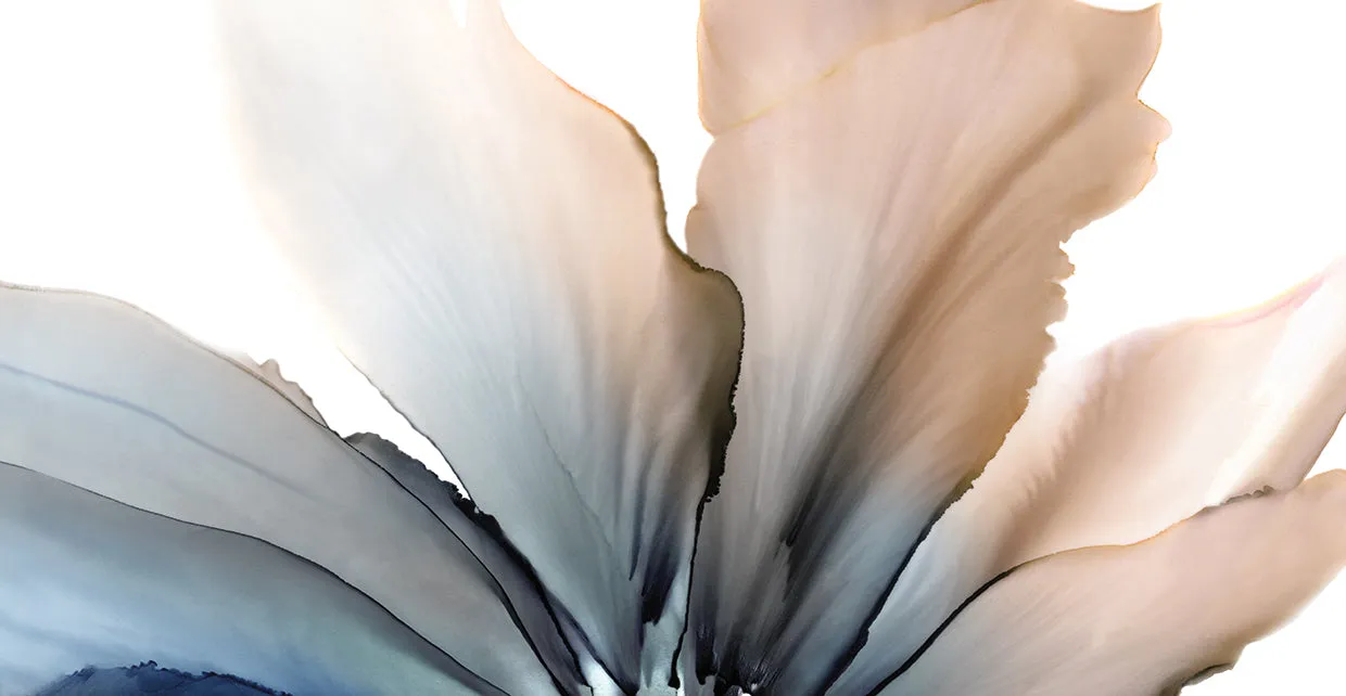 Delicate in Blue