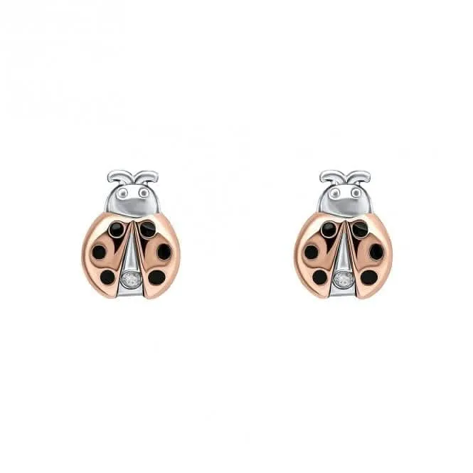 Ladybird Stud Earrings With Diamond E6433
