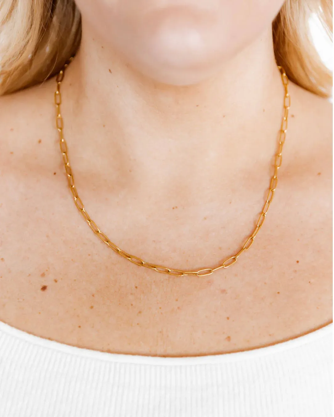 Linny Co Palmer Paperclip Necklace