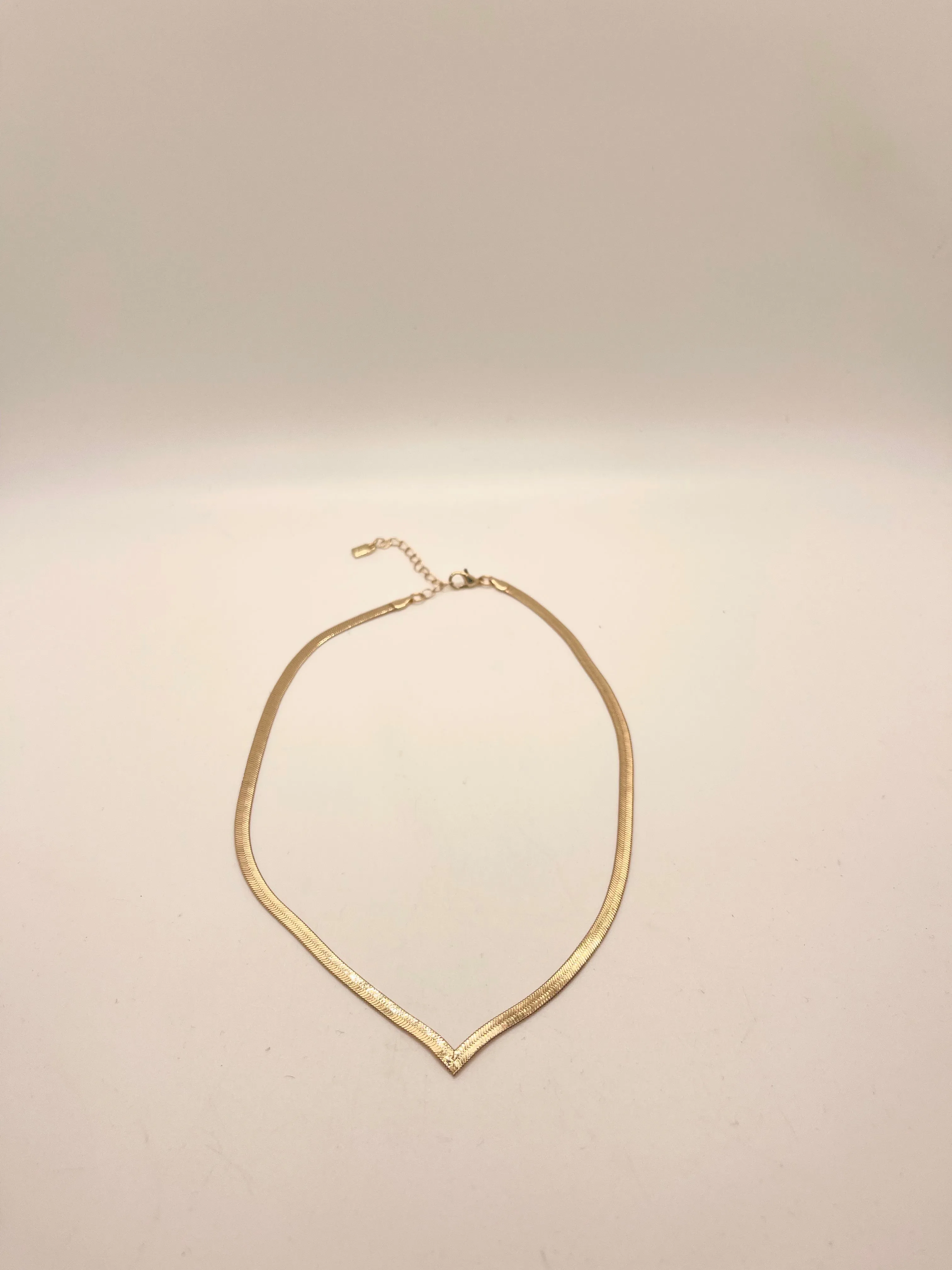 Snake Chain Necklace