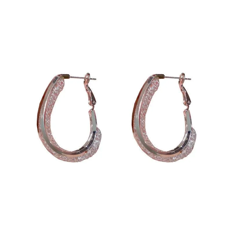 Sparkling Silver Crystal earrings