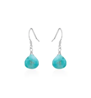 Turquoise Gemstone Teardrop Dangle Earrings